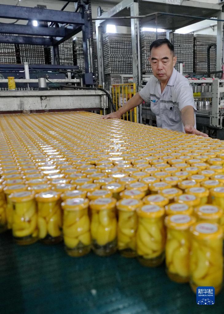 亿宝娱乐手机版下载